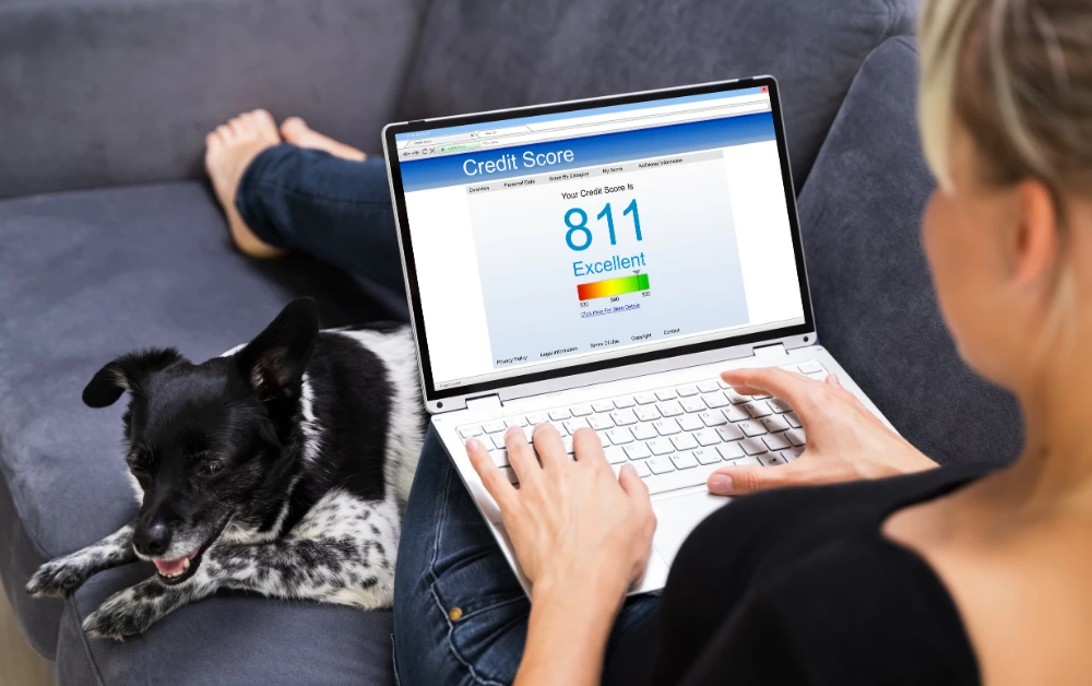 How To Run A Credit Check On Someone - Payzenic