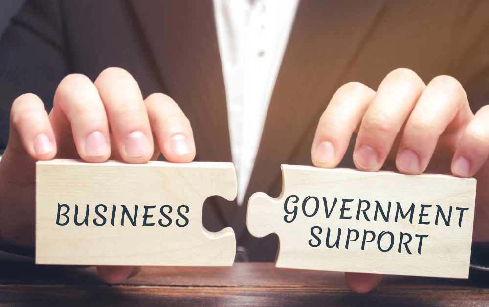 Tax Package Support - Payzenic