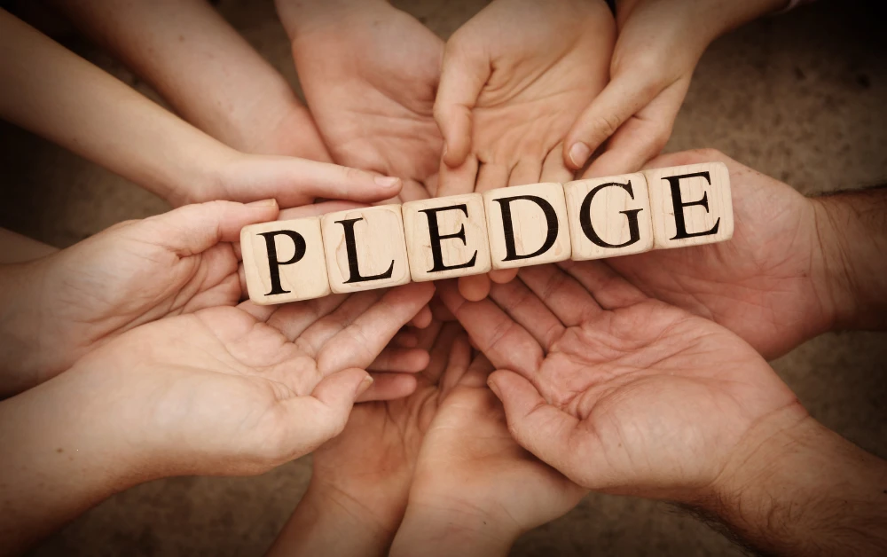 What is a Pledge Loan - Payzenic