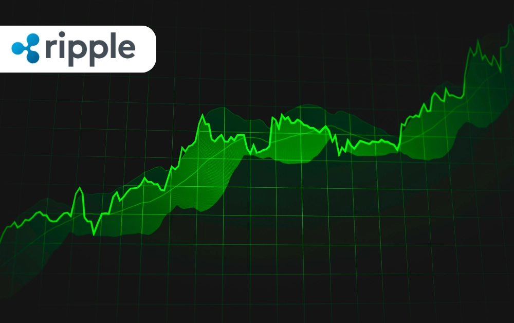 How Do I Buy Stock In Ripple - Payzenic