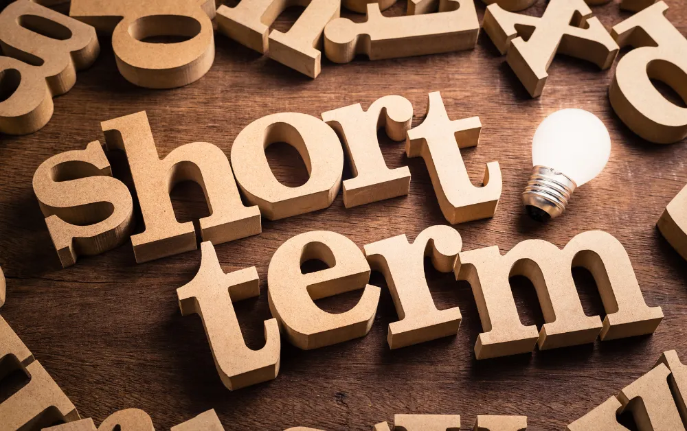 Short Term Bonds - Payzenic