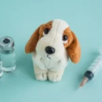 Does Pet Insurance Cover Shots Payzenic