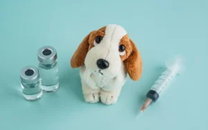 Does Pet Insurance Cover Shots Payzenic