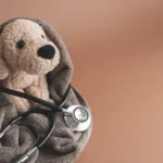 Does Pet Insurance Cover Surgery Payzenic