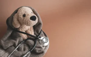 Does Pet Insurance Cover Surgery Payzenic