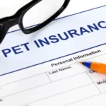 Does State Farm Offer Pet Insurance Payzenic