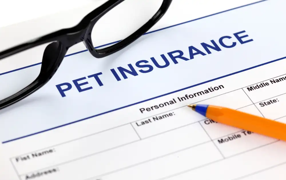 Does State Farm Offer Pet Insurance Payzenic