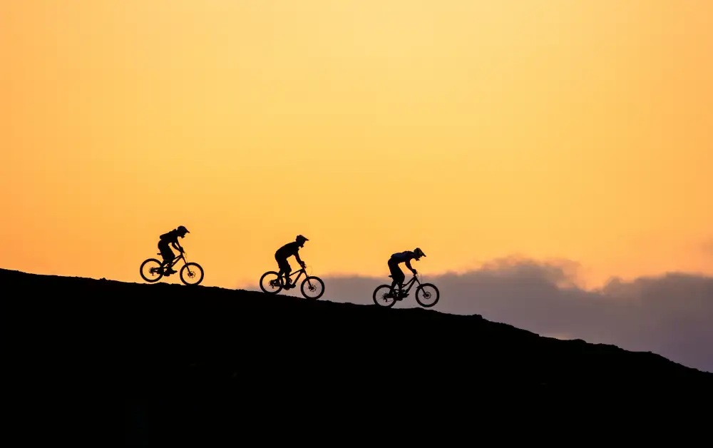 How Much Is Bike Insurance Payzenic