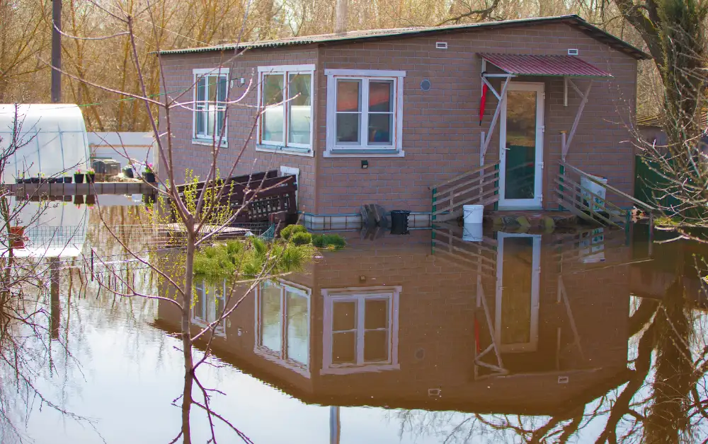 How Much Is Flood Insurance In Florida Payzenic